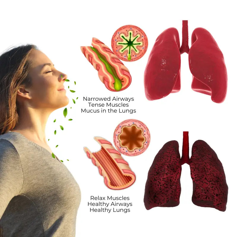 Biancat® RespiCleanse Herbal Lung Detox Inhaler.